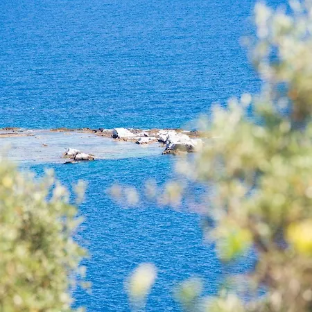 Holiday home Archodissa