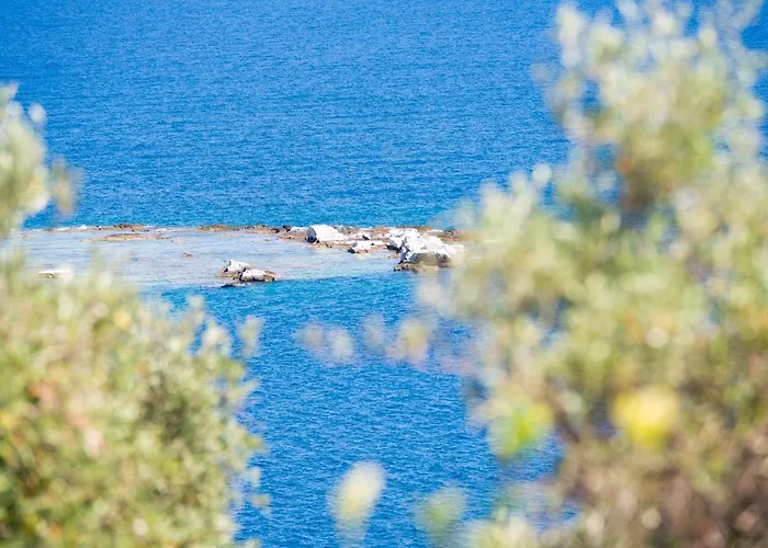 Σπίτι διακοπών Archodissa